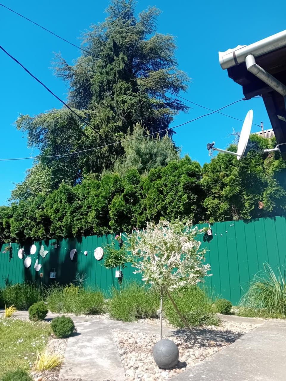 Apartmani Dunav Apatin Bed and Breakfast in Vojvodina