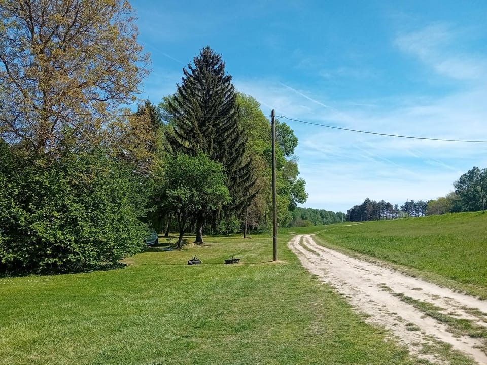 Apartmani Dunav Apatin Bed and Breakfast in Vojvodina