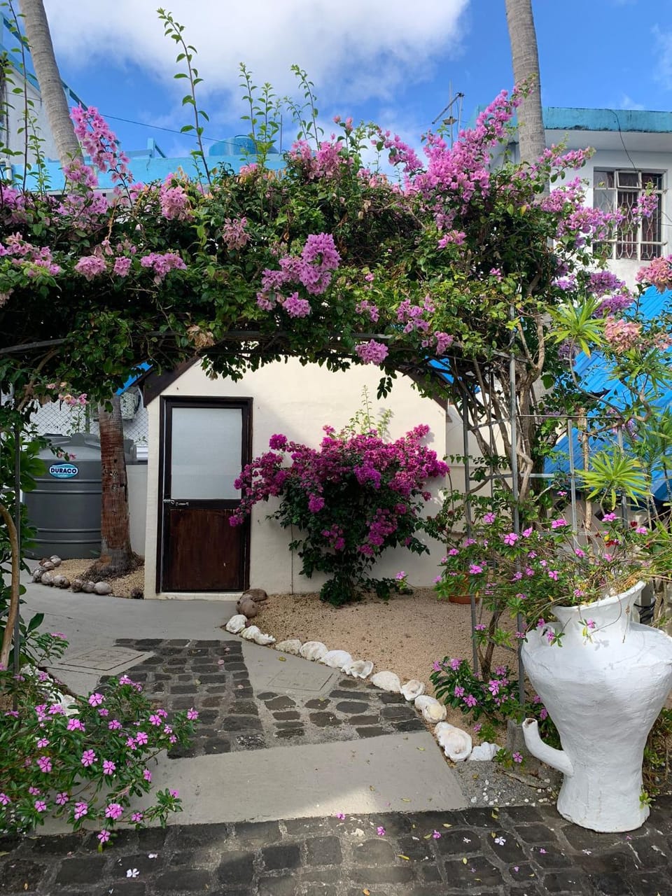 Property building, Garden, Garden view