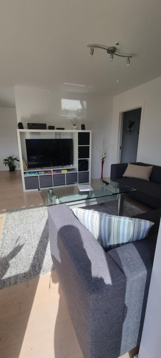 TV and multimedia, Living room