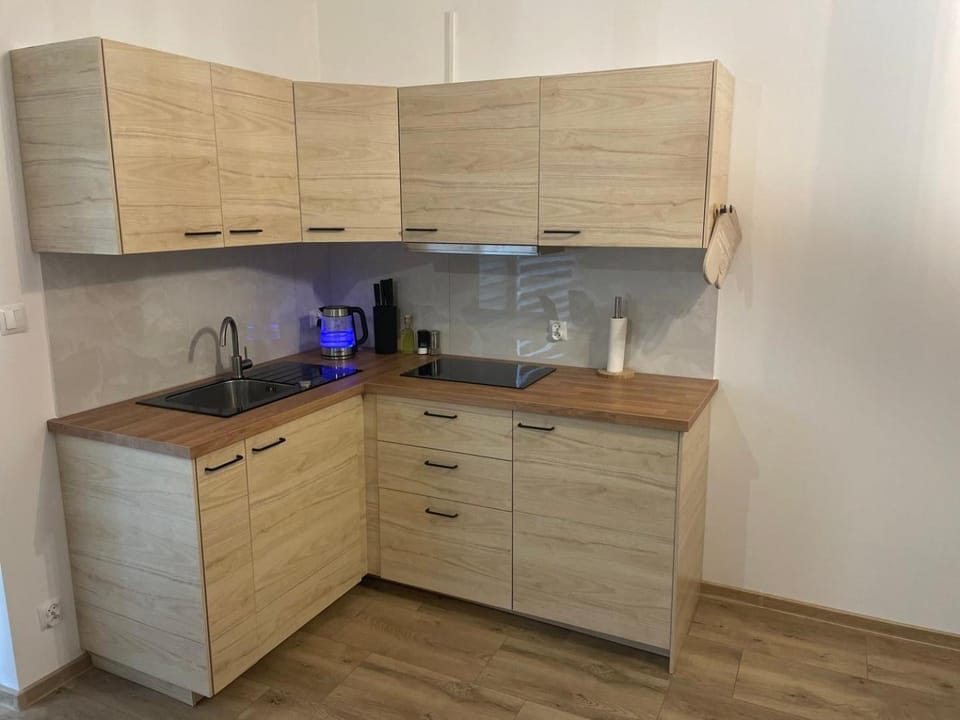 Kitchen or kitchenette, minibar, stove
