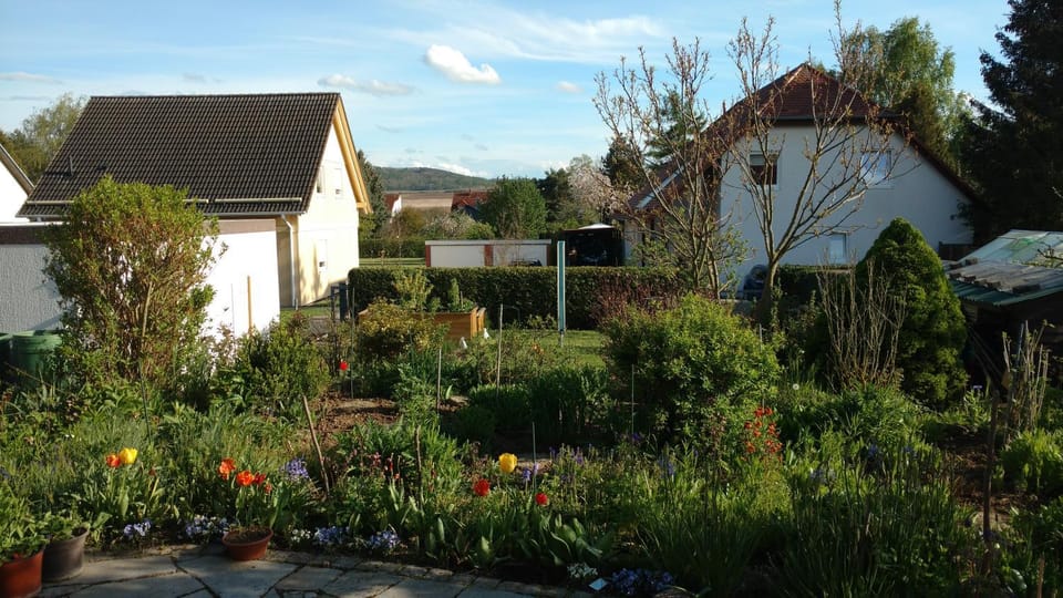 Spring, Day, Garden view