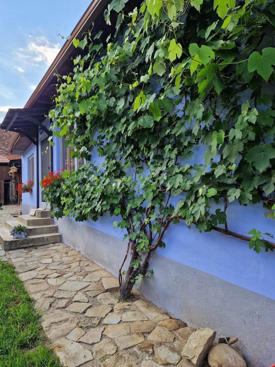 FLORESTI HOUSE 21 House in Brașov County