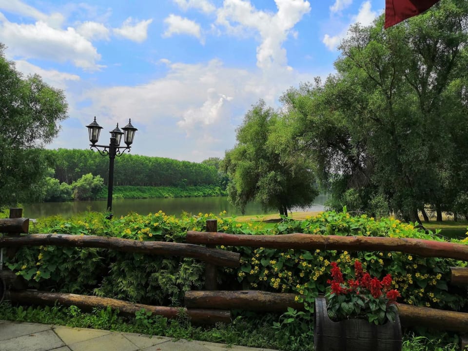Natural landscape
