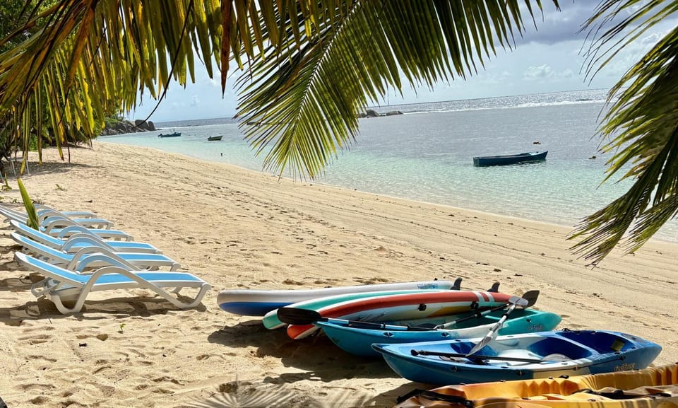 Natural landscape, Beach, Beach, Sports, sunbed
