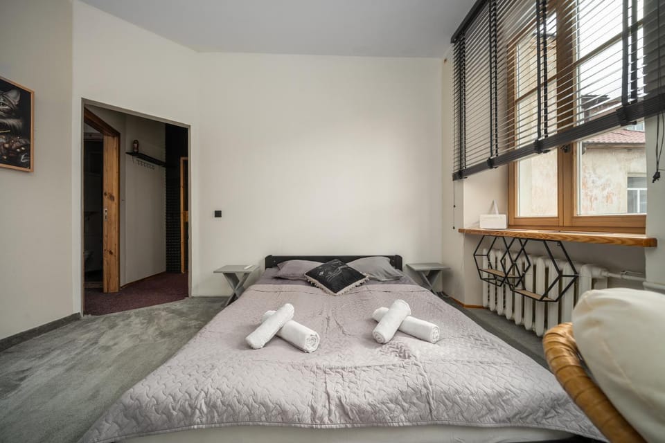 Coziness of old town Apartment in Vilnius