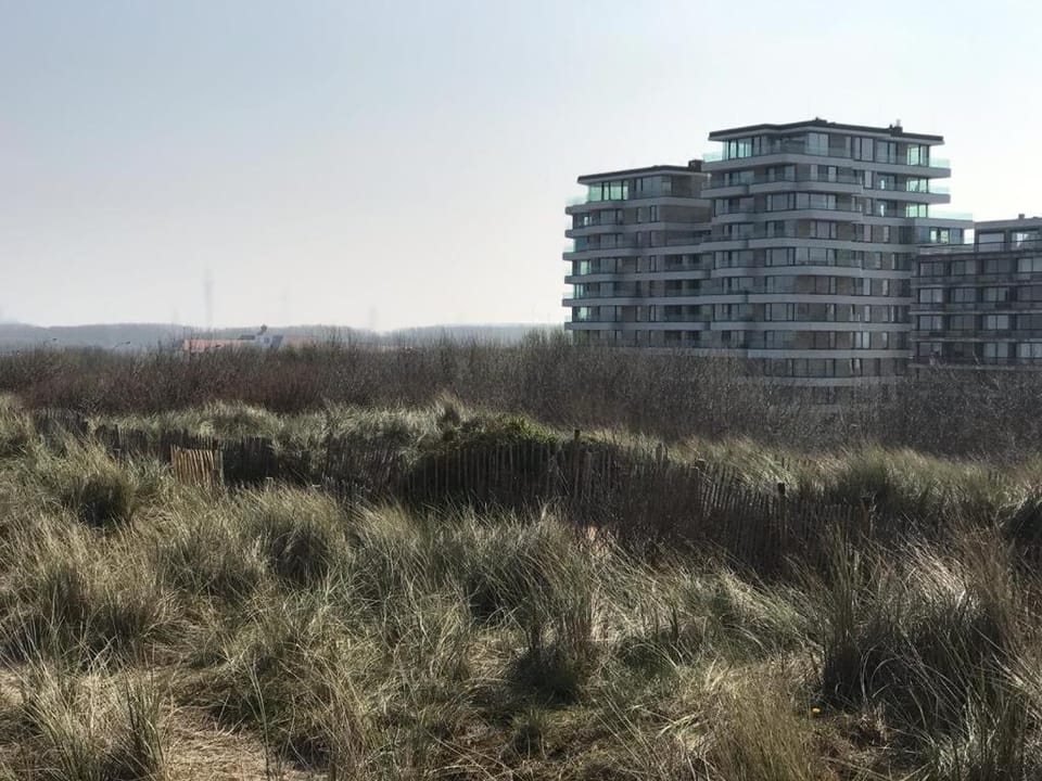 Property building, Natural landscape