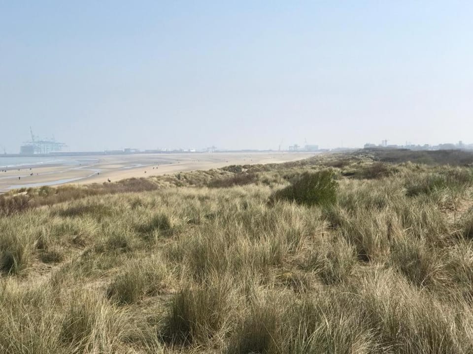 Natural landscape, Beach, Sea view