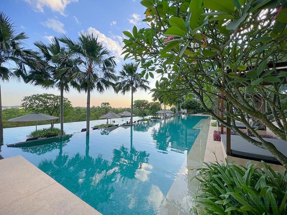 Day, Pool view, Swimming pool, Swimming pool