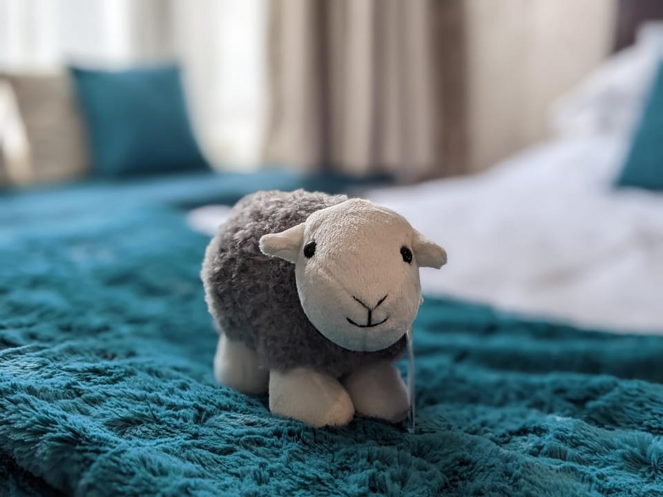 Animals, Bedroom