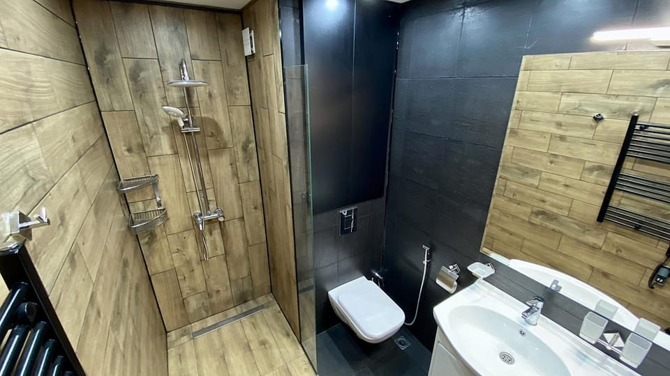 Shower, Toilet, Bathroom, hair dryier