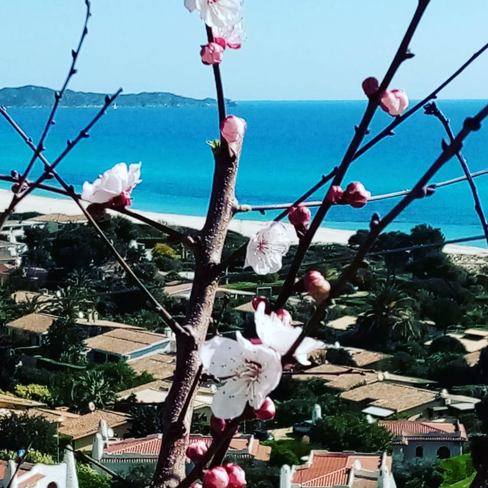 La Terrazza sull'Alba House in Costa Rei