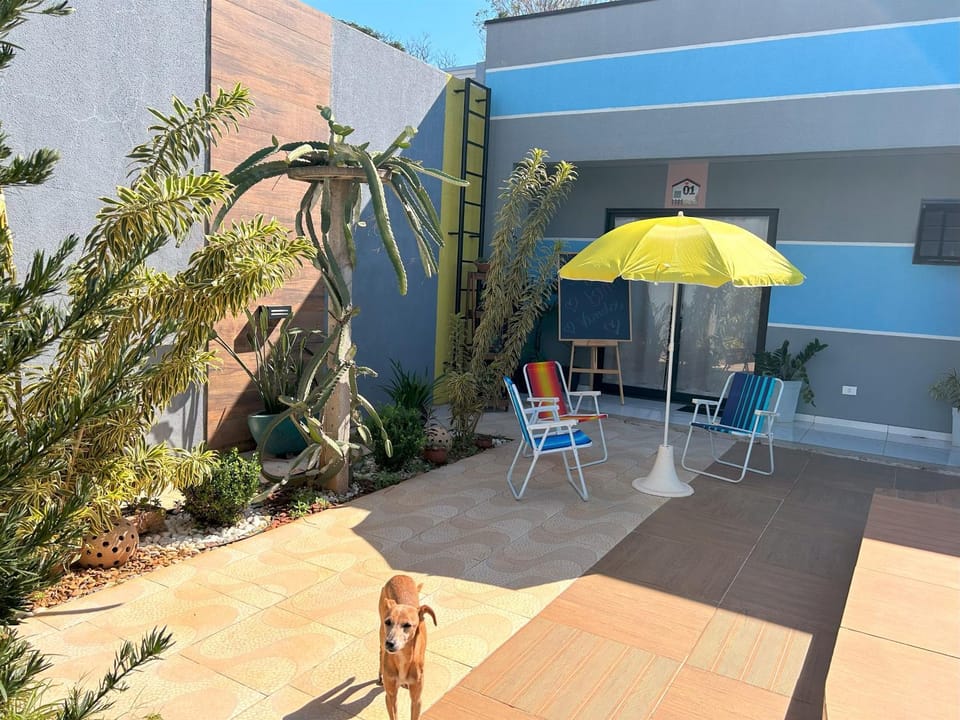 Day, Garden, Garden view, sunbed