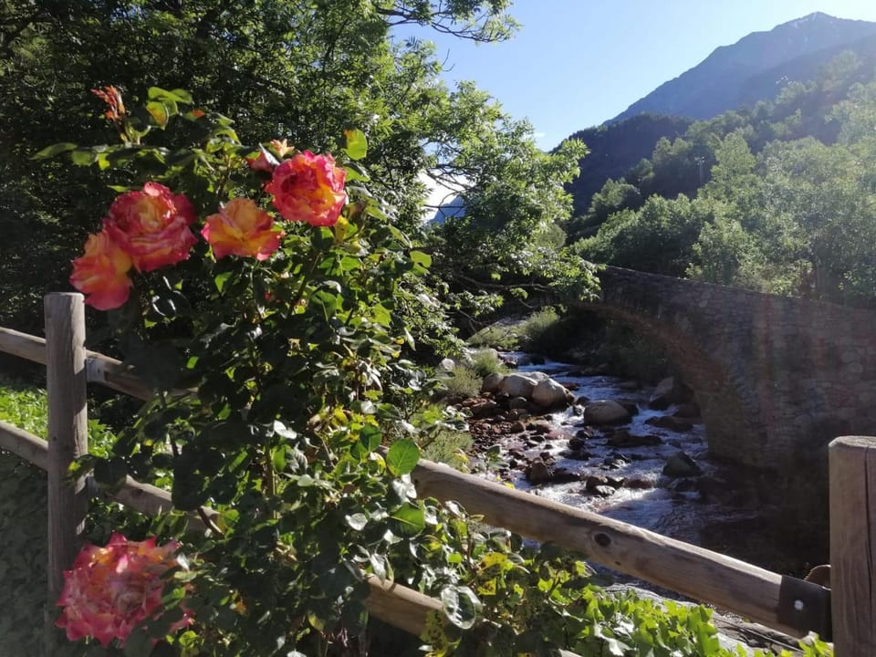 Camping Aneto Campground/ 
RV Resort in Catalonia