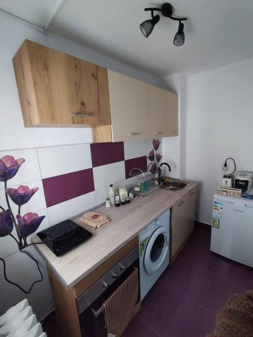 Kitchen or kitchenette, pet friendly, washing machine