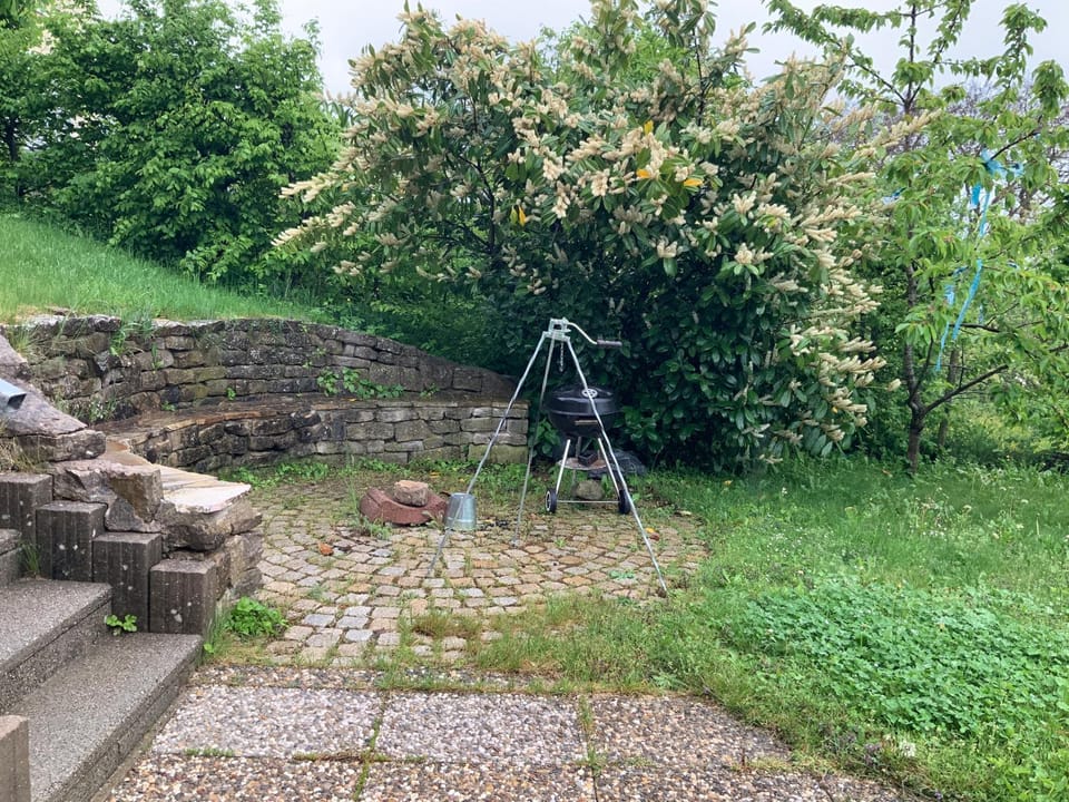 Spring, Day, Natural landscape, BBQ facilities, BBQ facilities, Garden, Meeting/conference room, Garden view, group of guests, group of guests, group of guests