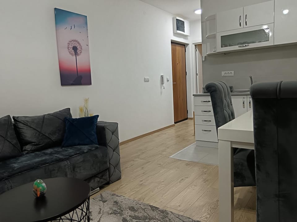 Apartman Savic Apartment in Serbia