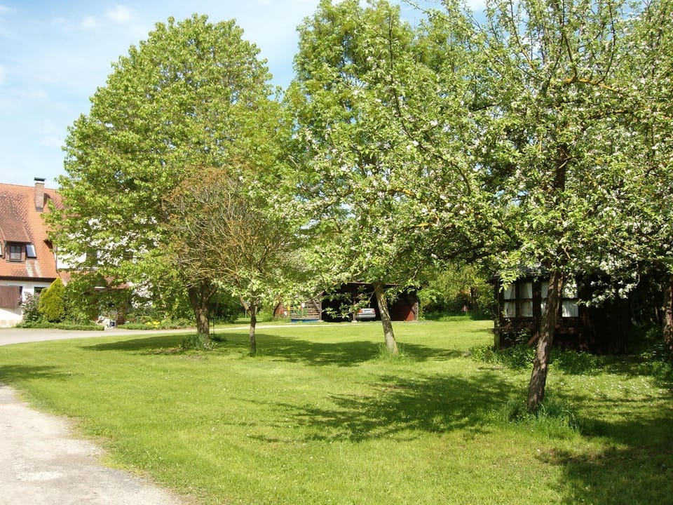 Area and facilities