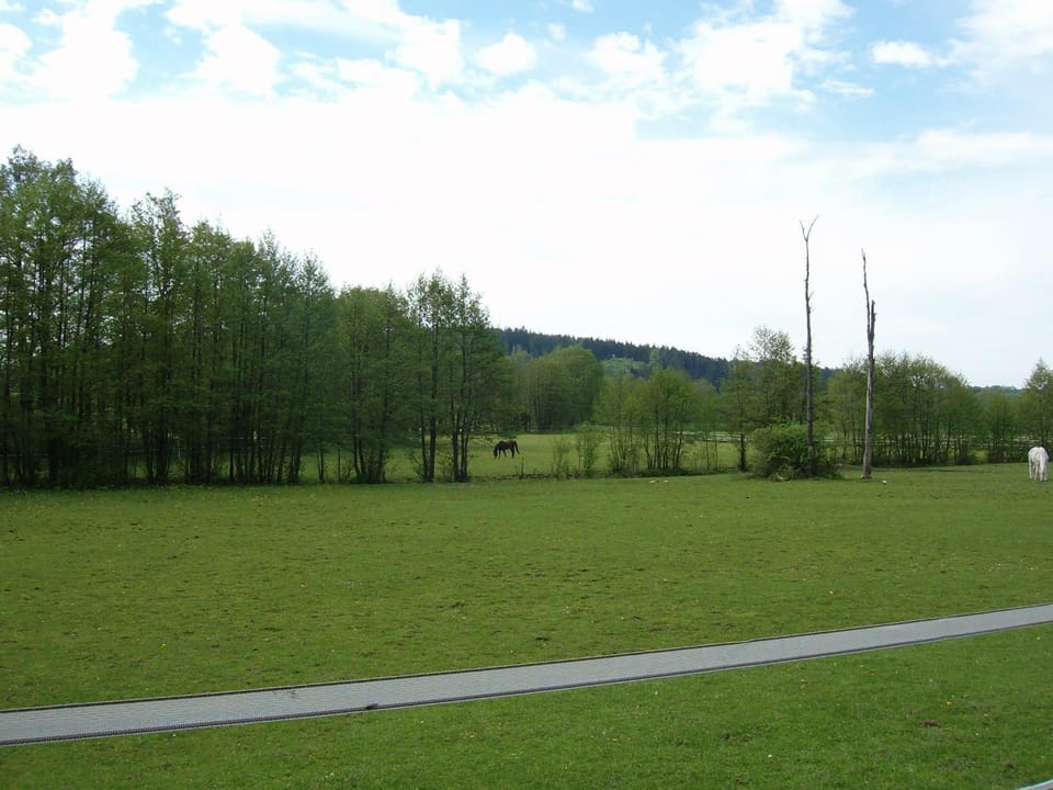 Area and facilities
