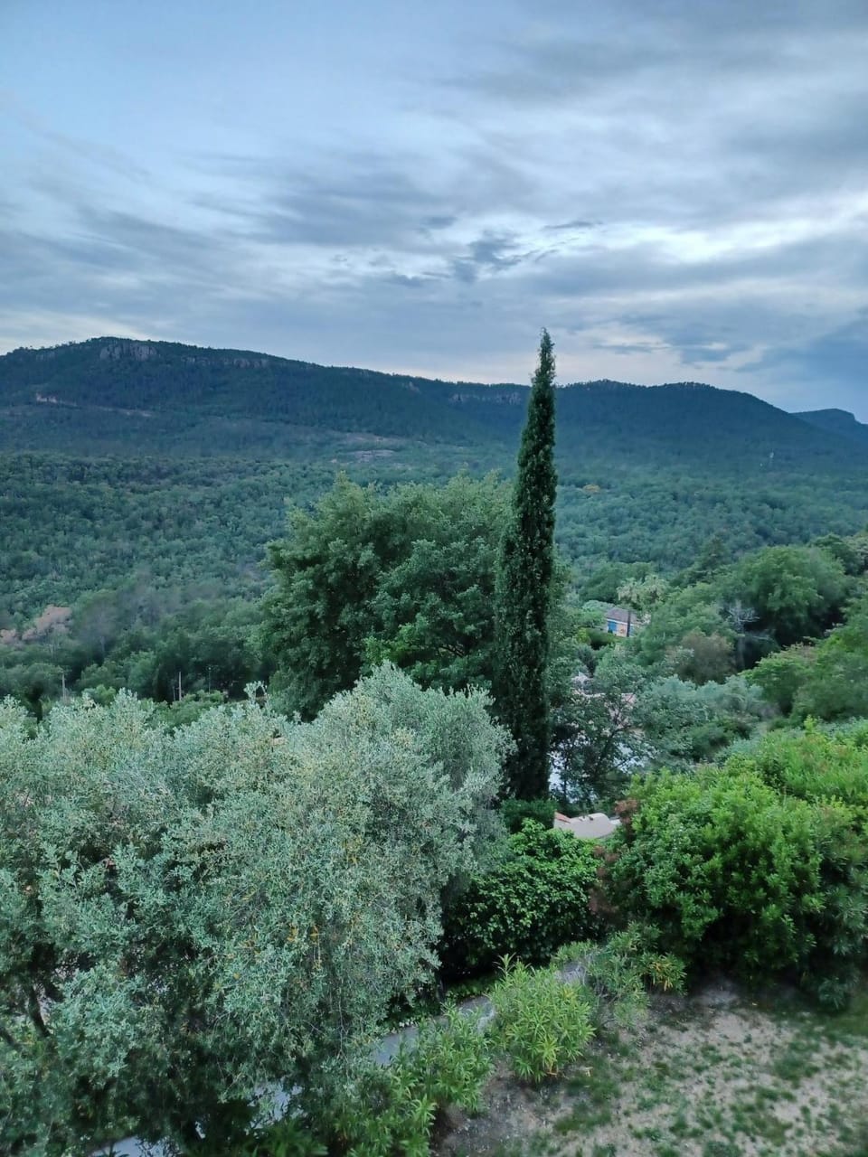 Mountain view