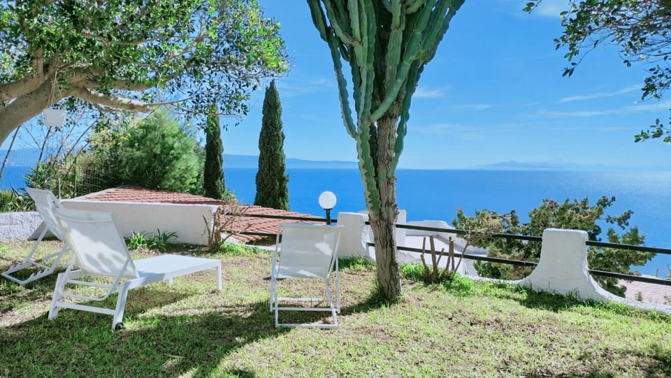 Day, Natural landscape, Garden, Garden view, sunbed