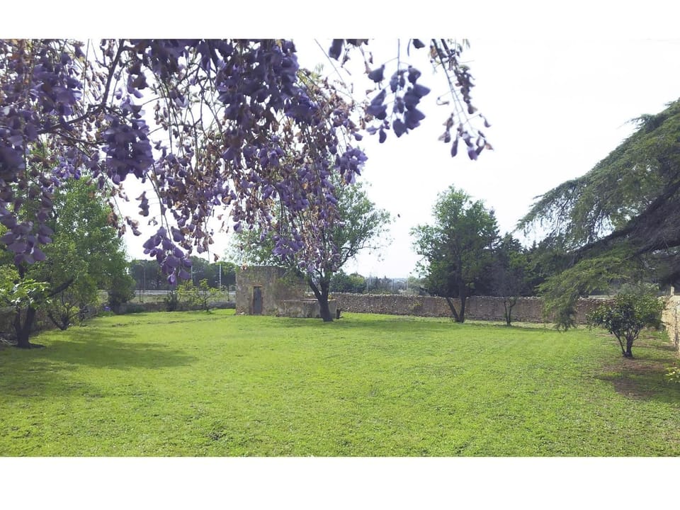 Natural landscape, Garden, Garden view