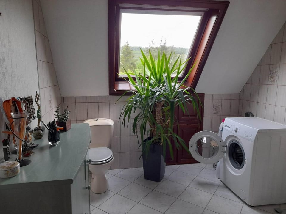 Toilet, Bathroom, washing machine