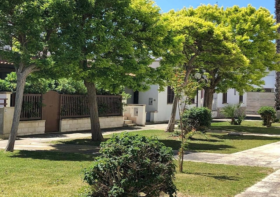 Garden, Garden view
