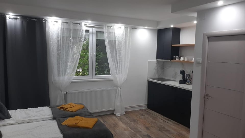 Apartman Studio GSM Apartment in Vojvodina
