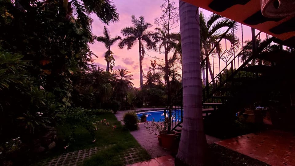 Garden view, Swimming pool, Sunset