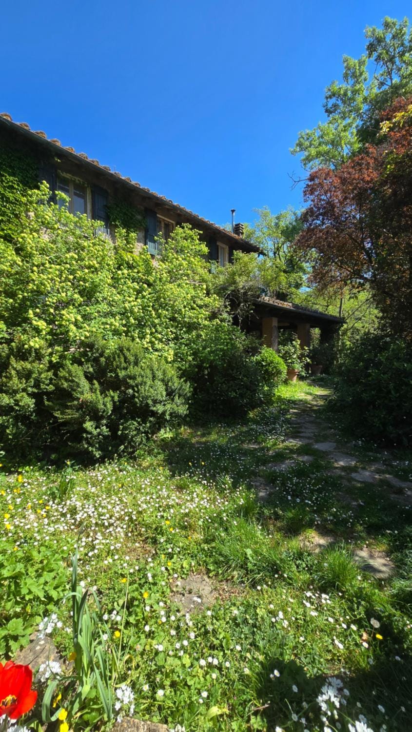 Property building, Spring