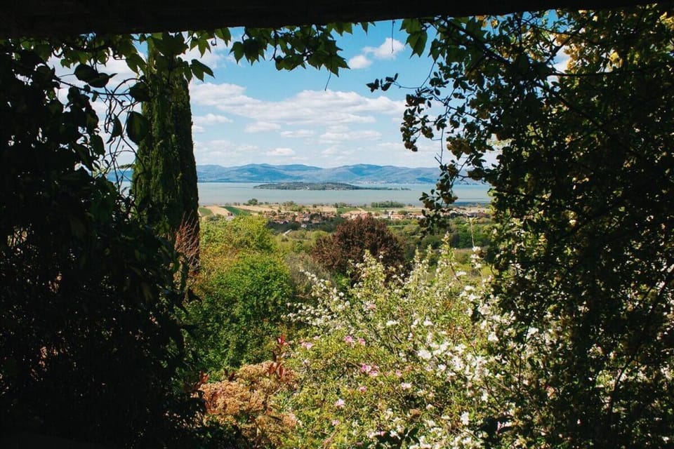 Natural landscape, Garden, Lake view
