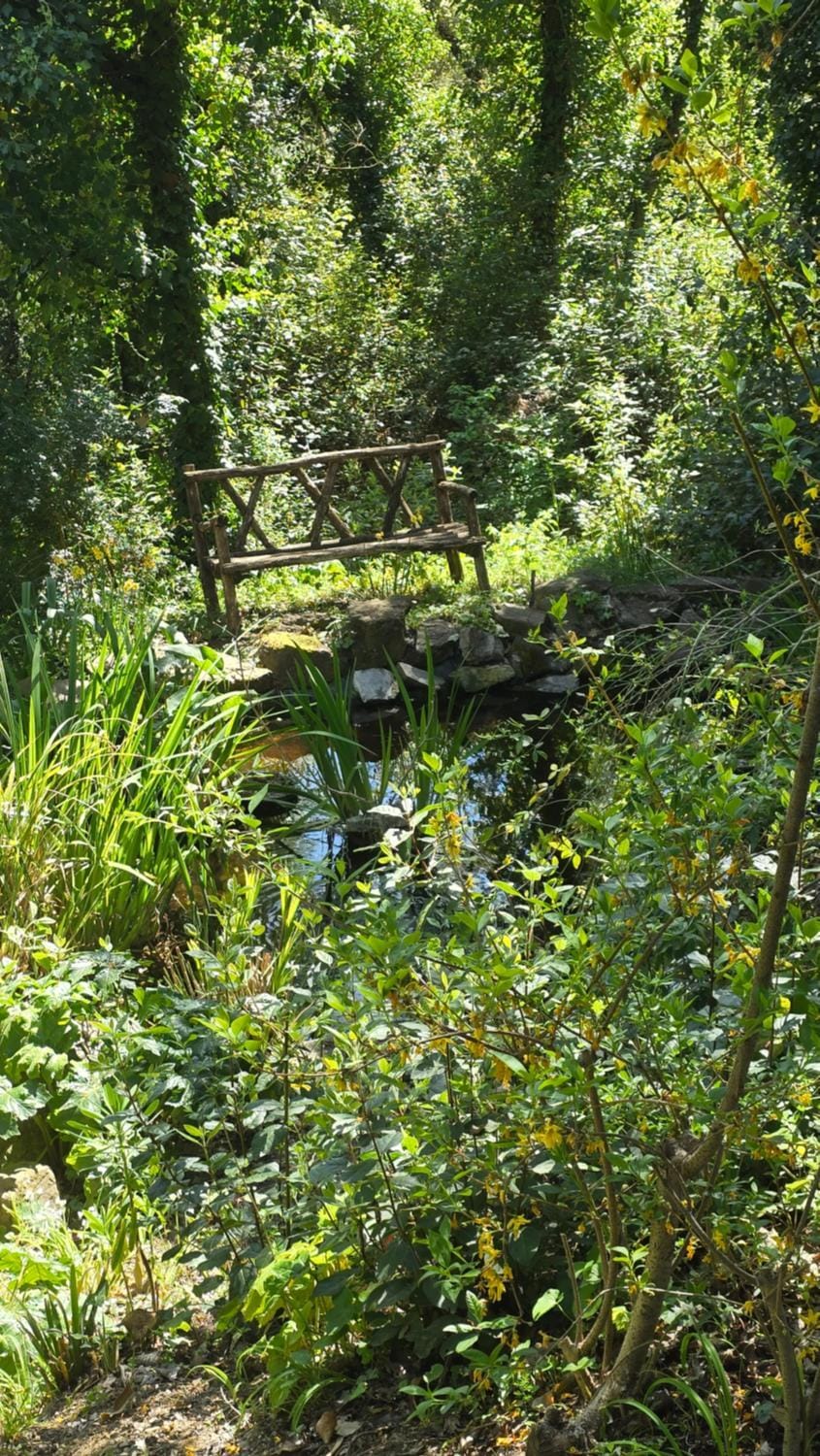 Spring, Garden, Garden view