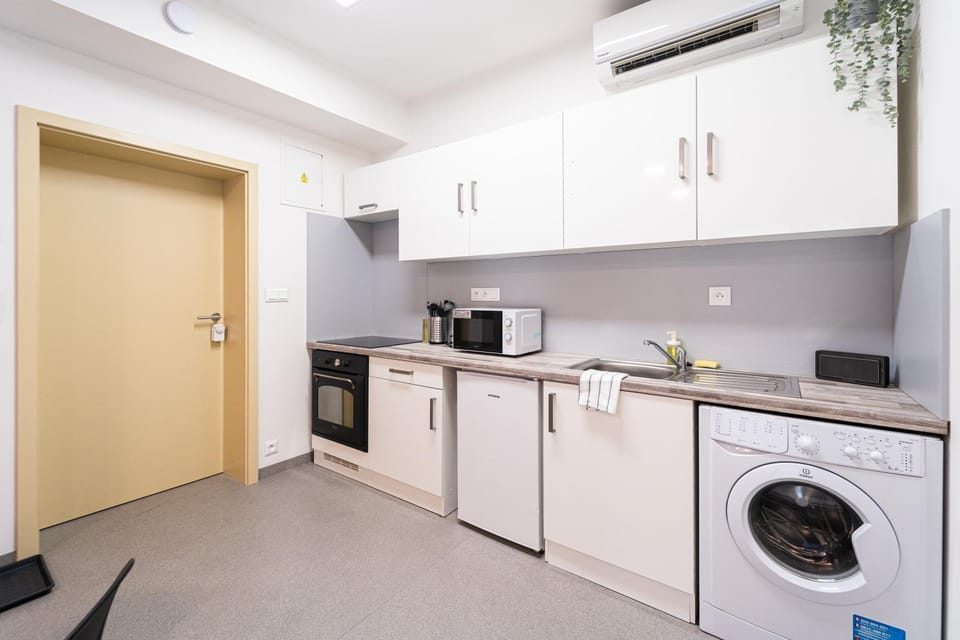 Milada Apartment / Brno Center Apartment in Brno