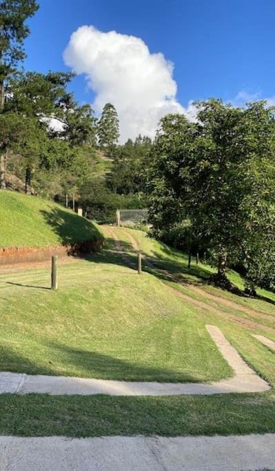 Day, Natural landscape, Garden, Garden view