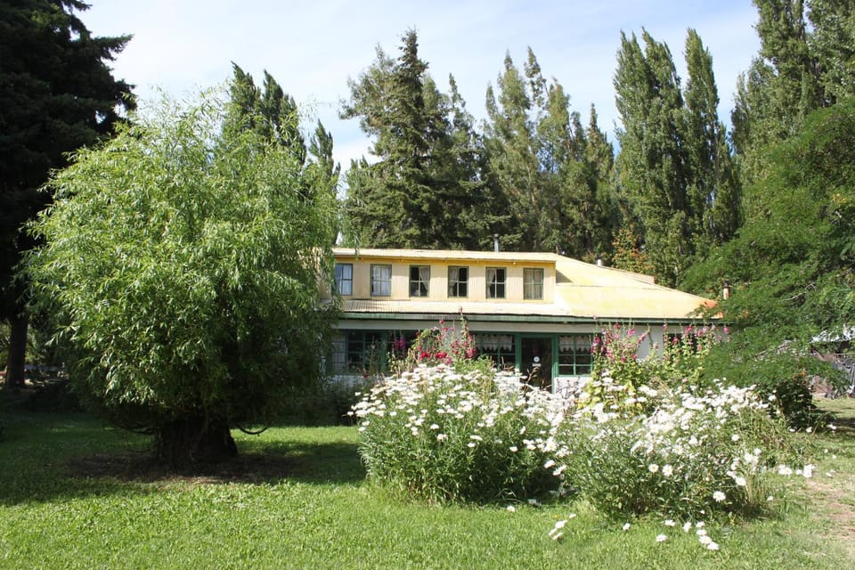 Property building, Day, Garden