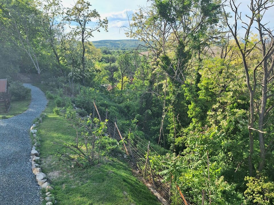 Neighbourhood, Natural landscape