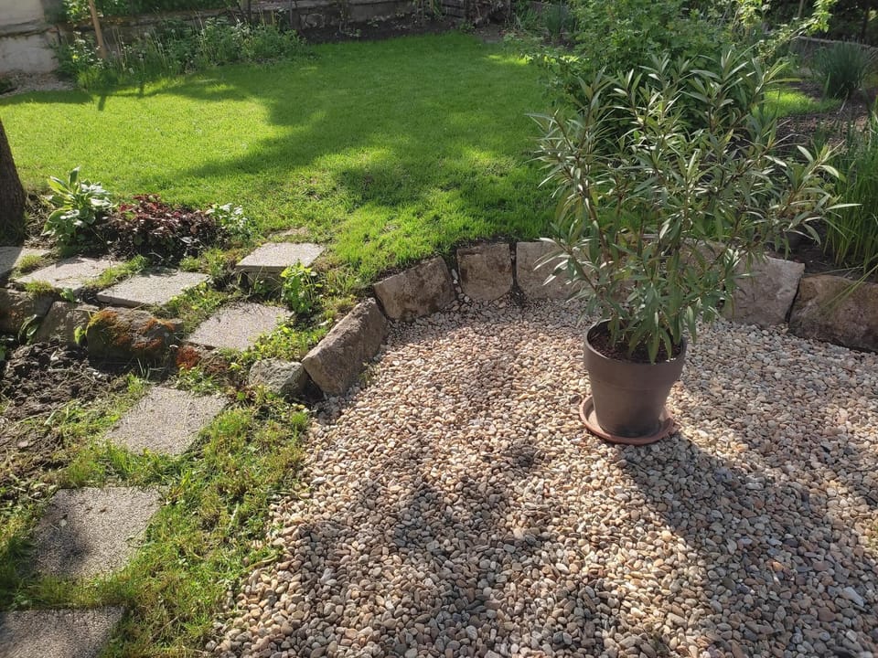 Garden, Garden, Garden view