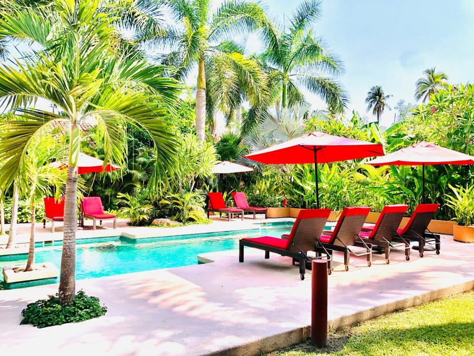 Property building, Garden, Garden view, Pool view, Swimming pool, sunbed