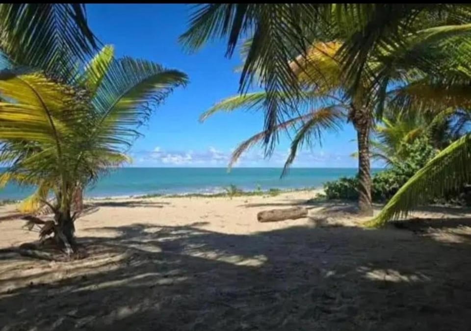 Ocean Motion Rental Casa en la playa con piscina cerca Yunque y VSjuan Villa in Puerto Rico