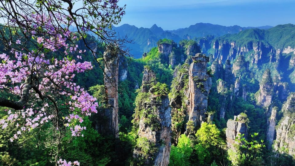 Zhangjiajie J&M Hotel--New Hotel,Exclusive Location,Free Drop off Service to East Gate of forest park,Free Self-Service Laundry & Drying, Attraction Tickets Serivce in advance Vacation rental in Hubei