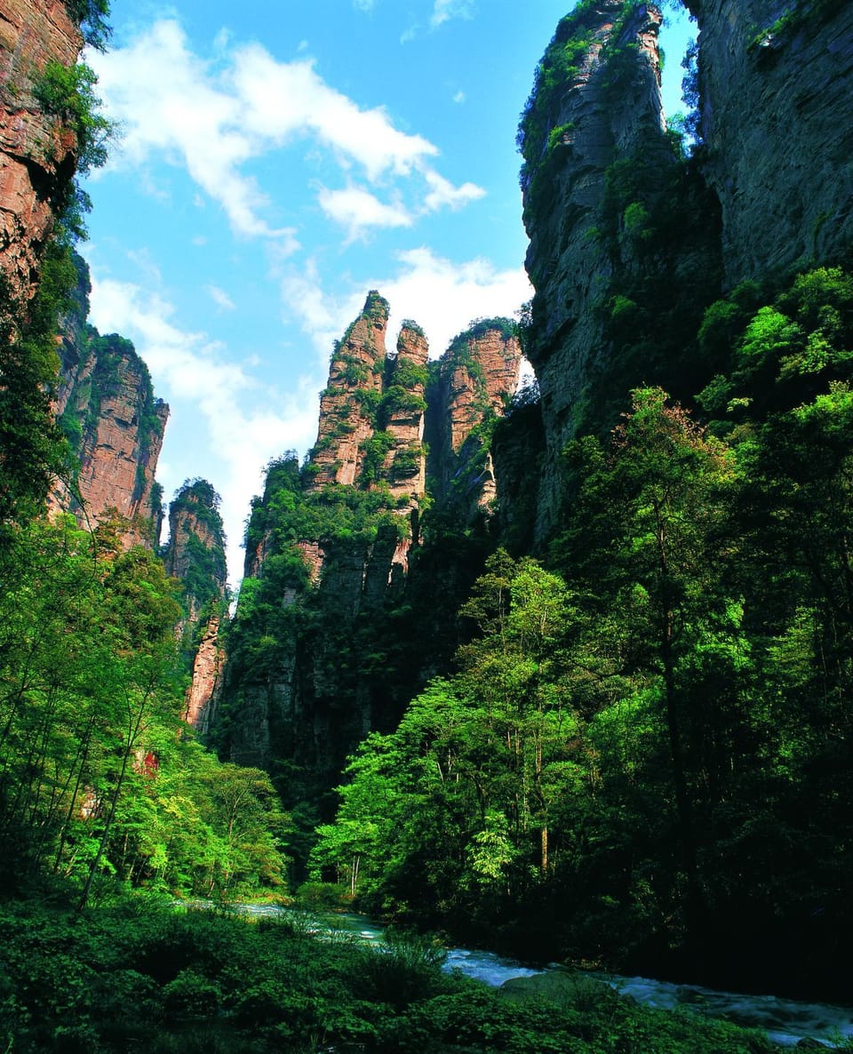 Zhangjiajie J&M Hotel--New Hotel,Exclusive Location,Free Drop off Service to East Gate of forest park,Free Self-Service Laundry & Drying, Attraction Tickets Serivce in advance Vacation rental in Hubei