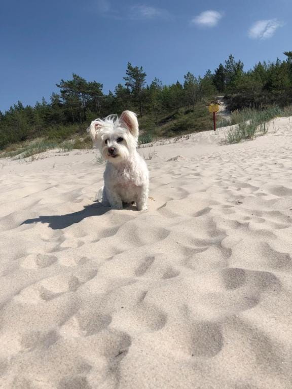 Baltic Holidays House in West Pomeranian Voivodeship, Poland