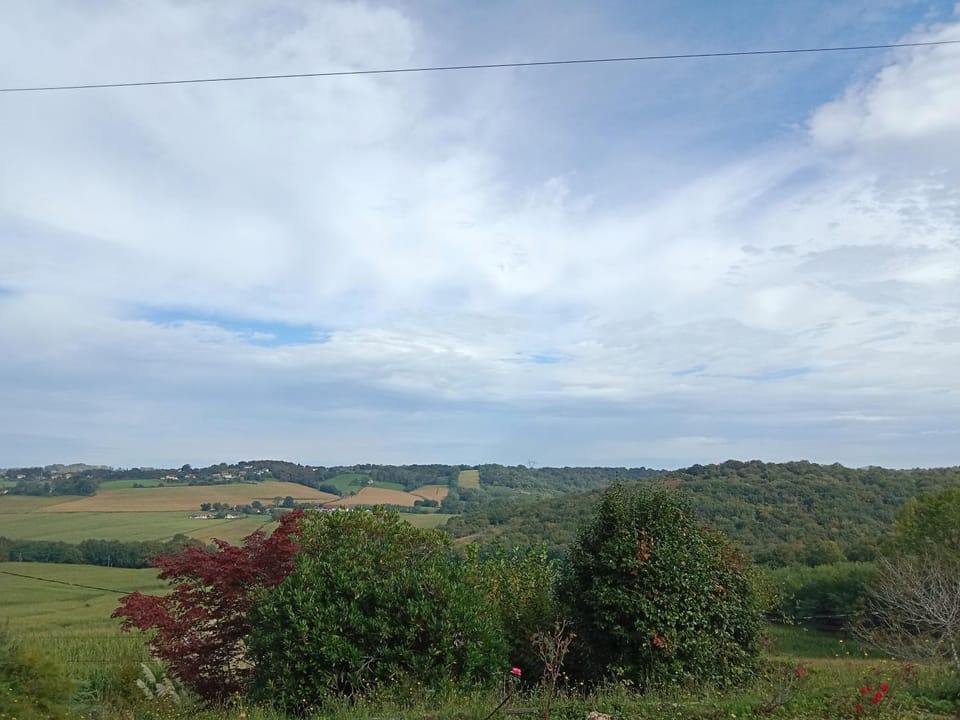View (from property/room)
