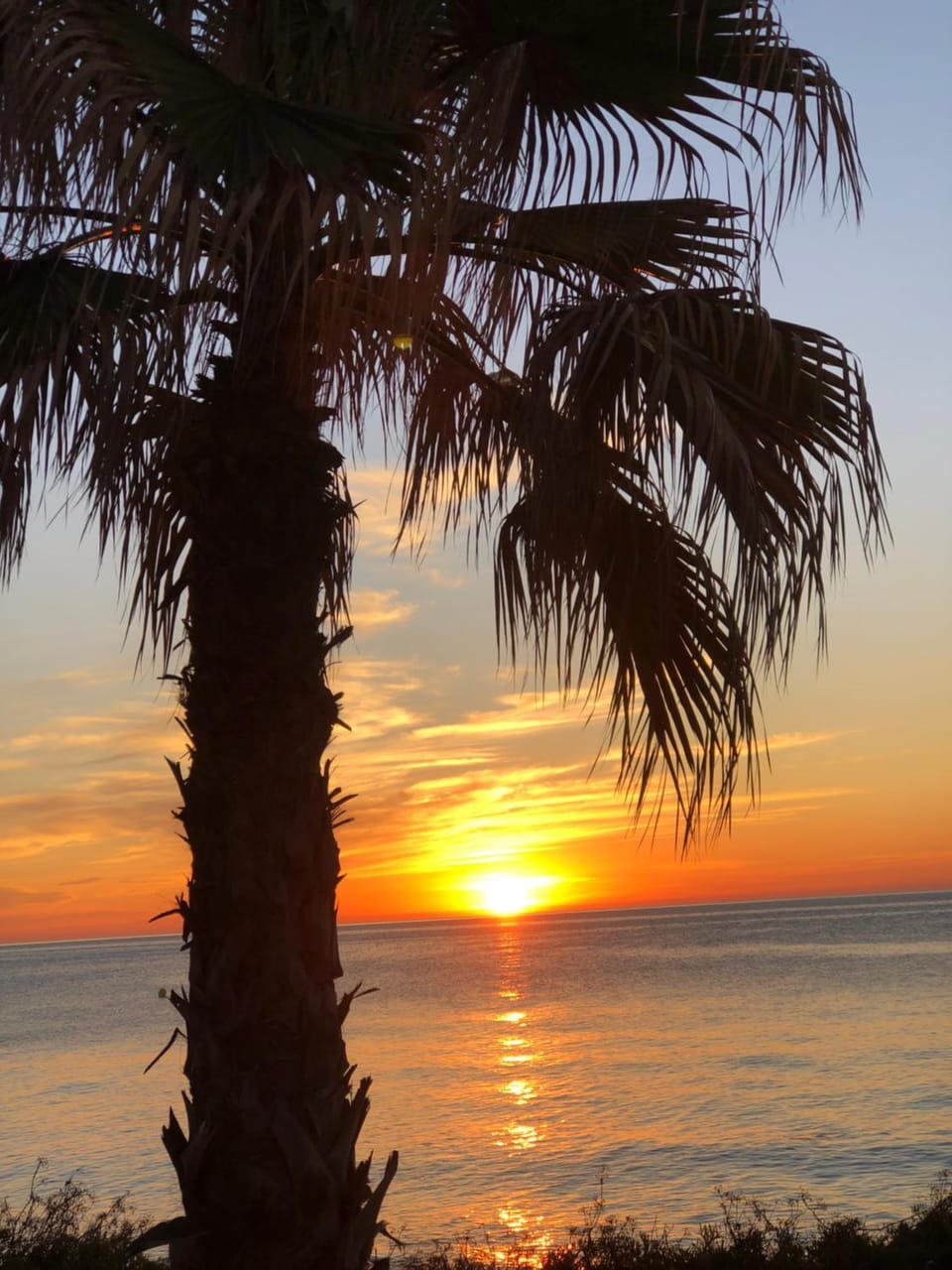 Apartament Blanco Apartment in Torrevieja