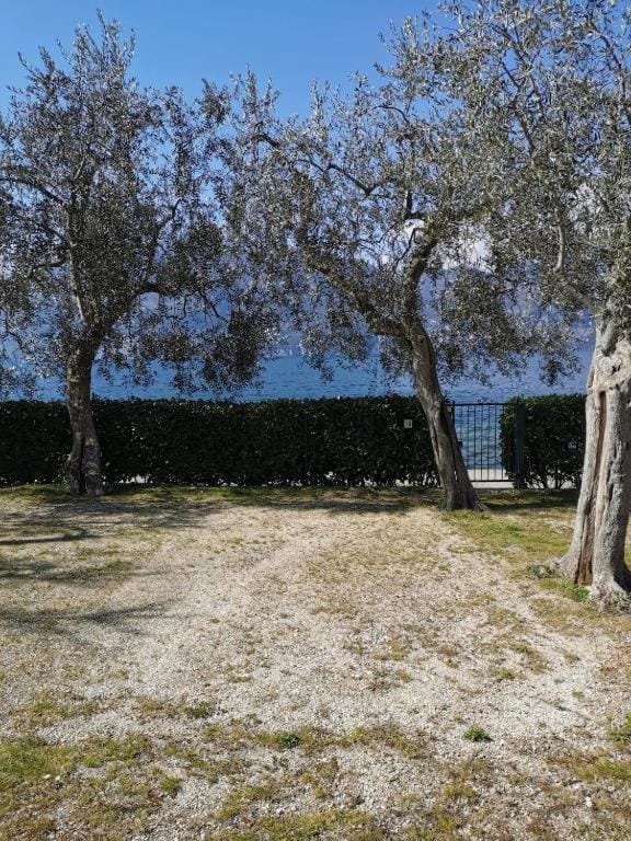 Spring, Day, Natural landscape