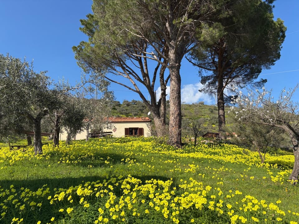 Villa Zoe Apartment in Sicily
