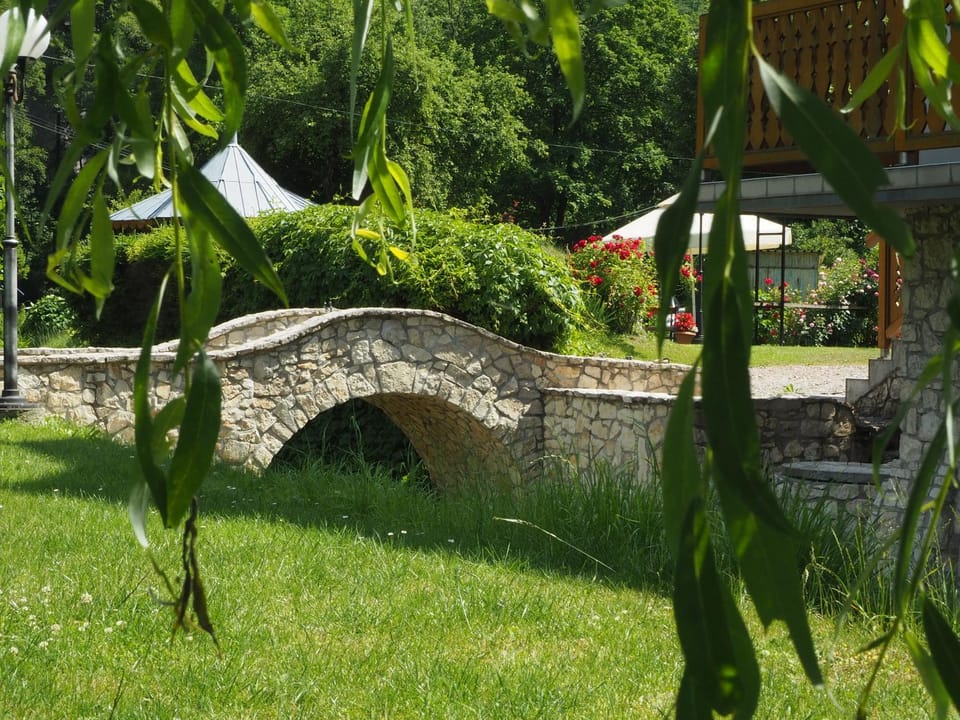 Natural landscape, Garden, Garden view, Landmark view