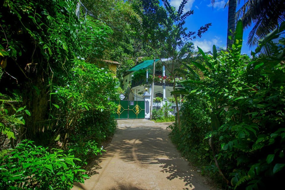 Property building, Street view