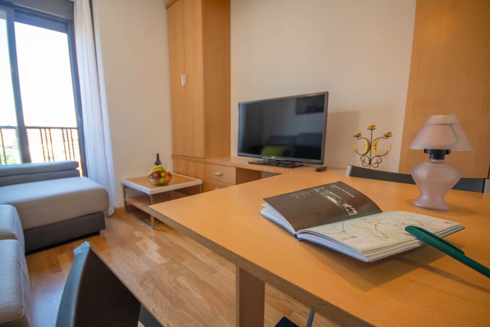 TV and multimedia